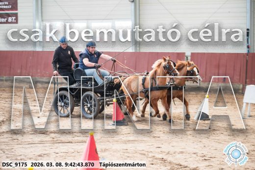 Mintakép 20260308-7
