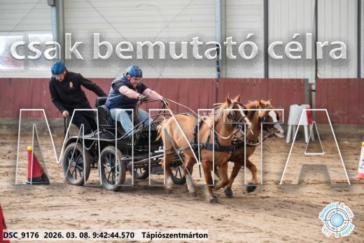 Mintakép 20260308-8