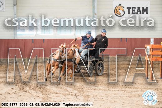 Mintakép 20260308-9