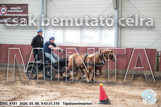 Mintakép 20260308-13