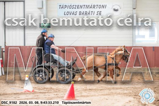 Mintakép 20260308-14