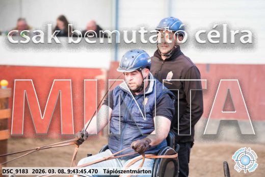 Mintakép 20260308-15