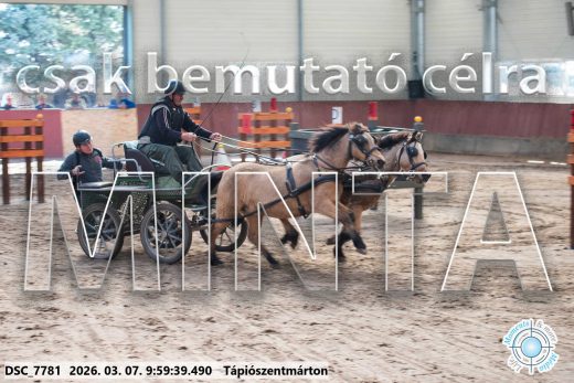 Mintakép 20260307-220