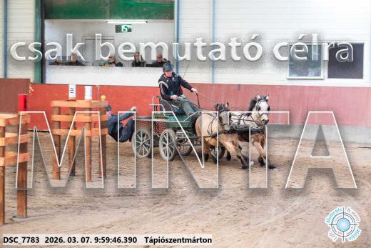 Mintakép 20260307-222