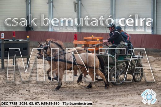 Mintakép 20260307-223