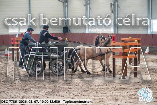 Mintakép 20260307-224