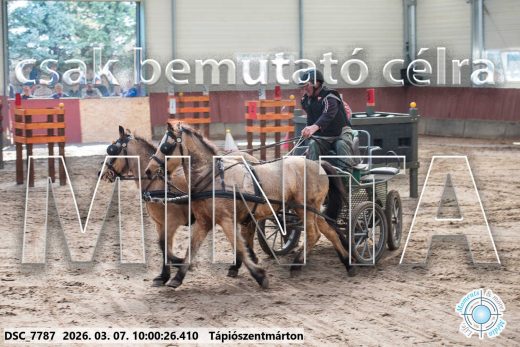 Mintakép 20260307-225