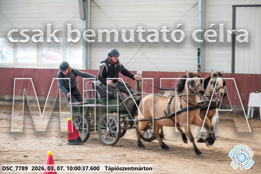 Mintakép 20260307-227