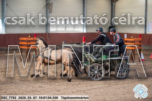 Mintakép 20260307-230