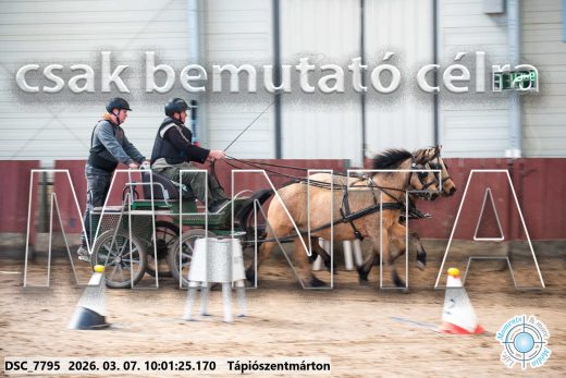 Mintakép 20260307-233