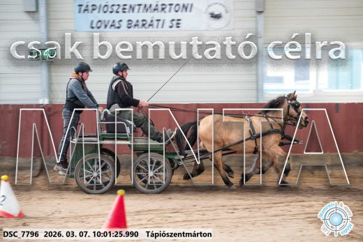 Mintakép 20260307-234