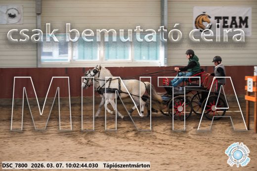 20260307-100244-DSC_7800.jpg