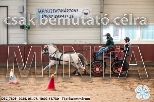 Mintakép 20260307-238