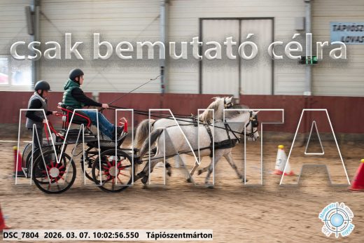 Mintakép 20260307-241