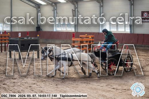 Mintakép 20260307-242