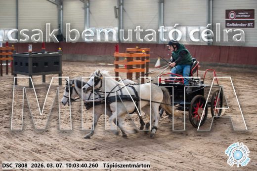 Mintakép 20260307-244