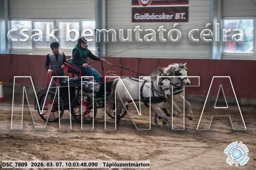 Mintakép 20260307-245