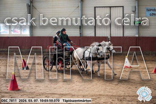 Mintakép 20260307-247