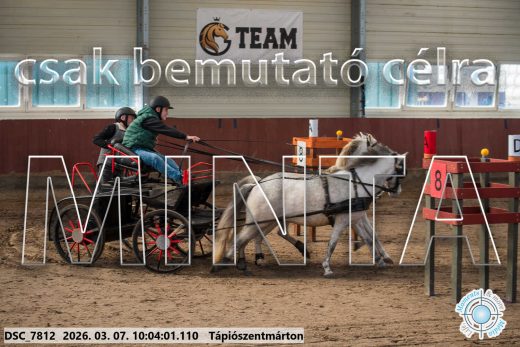 Mintakép 20260307-248