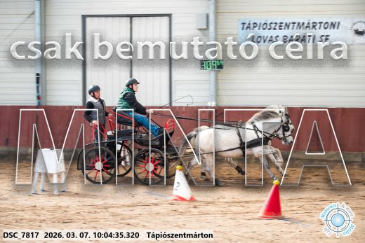 Mintakép 20260307-253