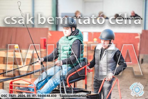 Mintakép 20260307-256