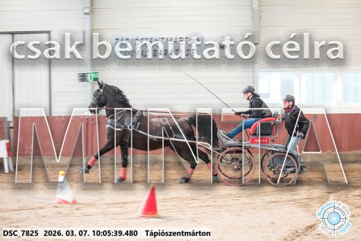 Mintakép 20260307-260