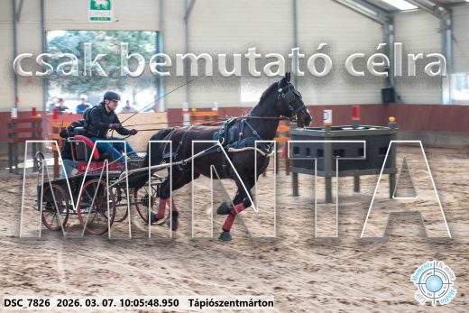 Mintakép 20260307-261