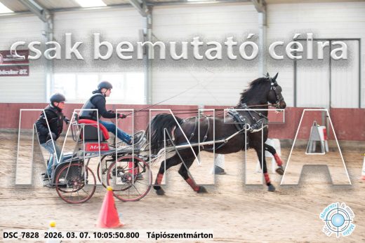 Mintakép 20260307-263