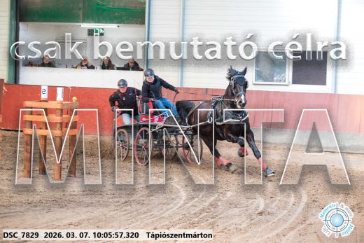 Mintakép 20260307-264