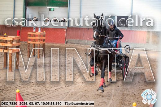 Mintakép 20260307-265