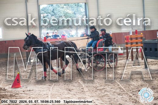 Mintakép 20260307-267