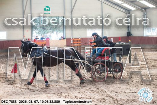 Mintakép 20260307-268