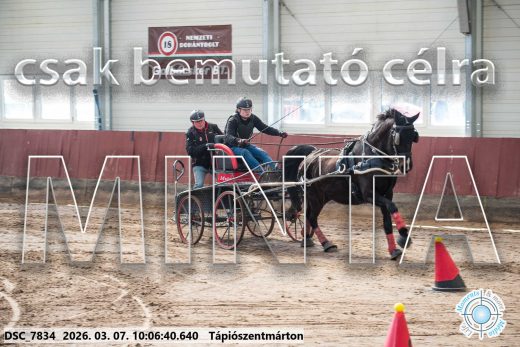 Mintakép 20260307-269