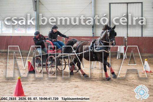 Mintakép 20260307-270