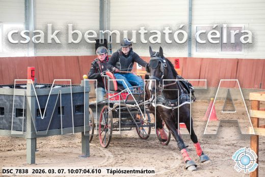 Mintakép 20260307-272