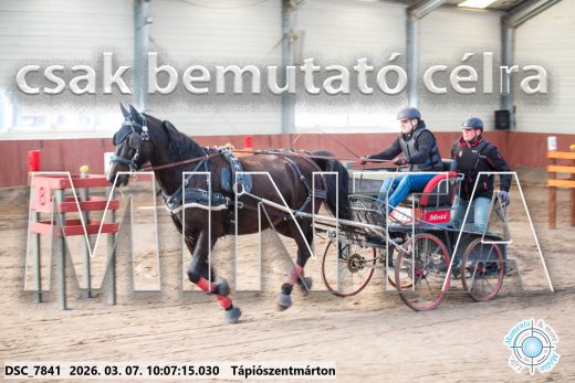 Mintakép 20260307-275
