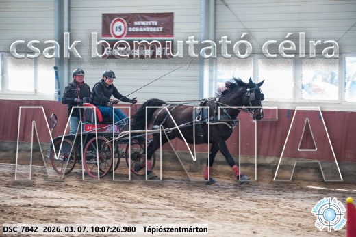 Mintakép 20260307-276