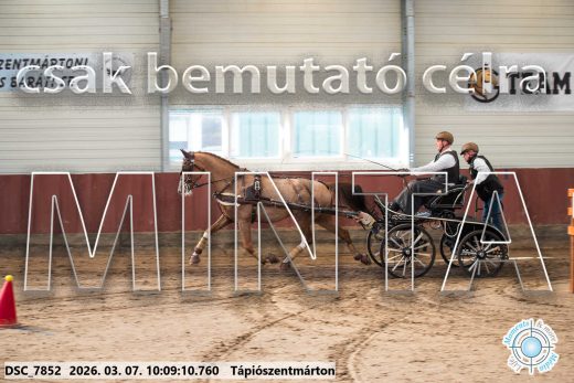 Mintakép 20260307-285
