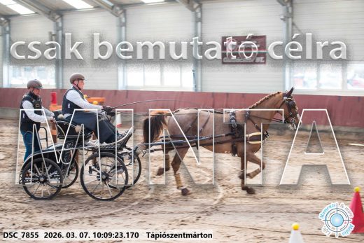 Mintakép 20260307-288
