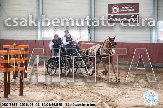 Mintakép 20260307-290