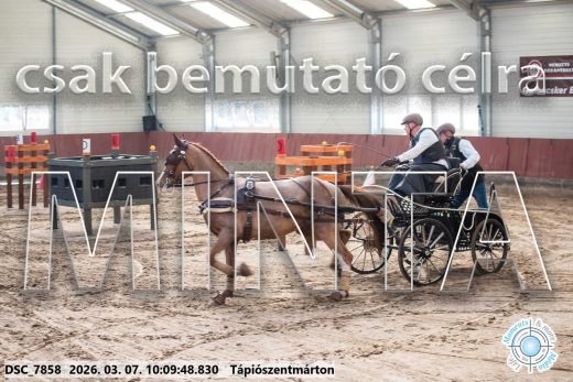 Mintakép 20260307-291