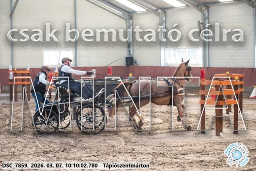 Mintakép 20260307-292