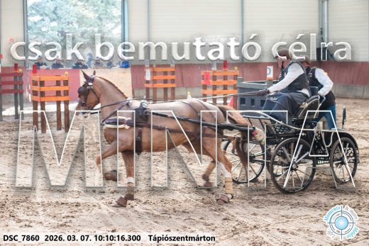 Mintakép 20260307-293