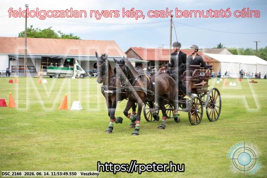 Mintakép 20260614-201