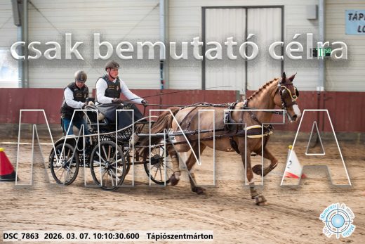 Mintakép 20260307-296