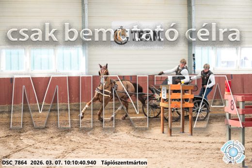 Mintakép 20260307-297