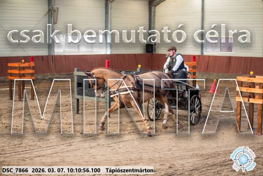Mintakép 20260307-298