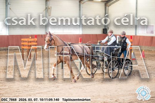 Mintakép 20260307-300