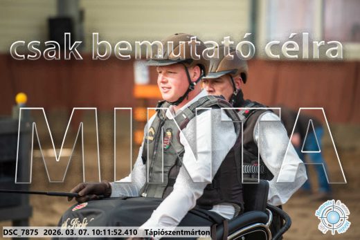 Mintakép 20260307-305