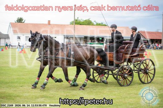 Mintakép 20260614-202